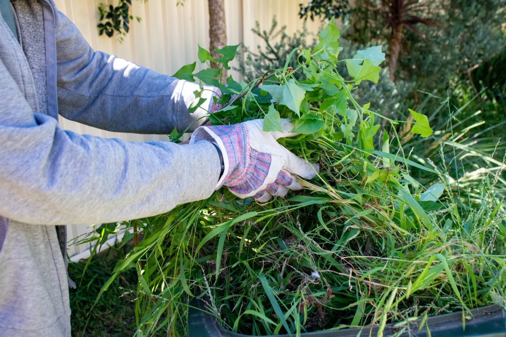 Comment trier ses déchets verts