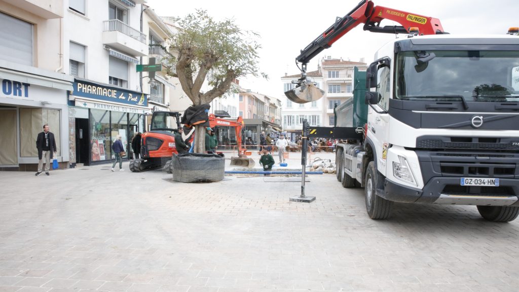 Un nouvel arbre pour un espace plus vert !