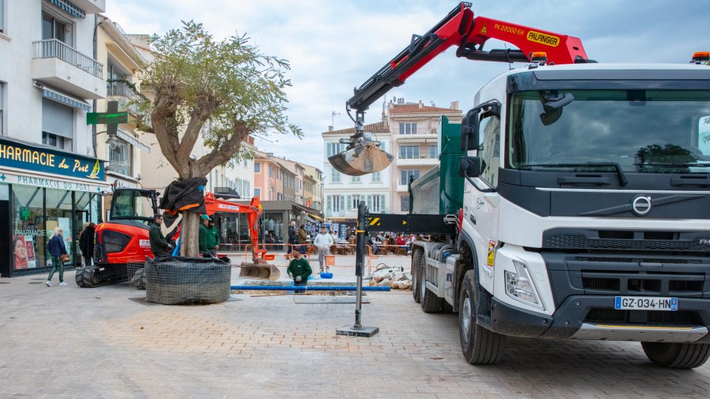 Un nouvel arbre pour un espace plus vert !